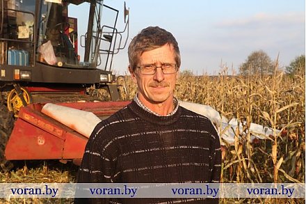 Погода значительно ускорила уборку сельскохозяйственных культур в Вороновском районе