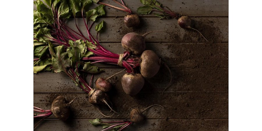 Народные приметы на 1 сентября 2025 года: что можно и нельзя делать в этот день