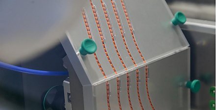 В Беларуси возобновлена регистрация предельных отпускных цен производителей на лекарства