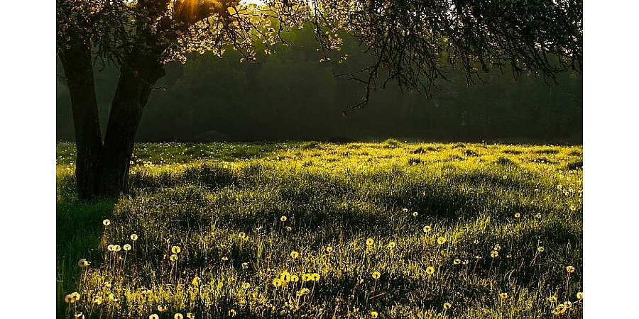 Белгидромет: 2021 год вошел в топ-20 самых теплых лет за всю историю метеонаблюдений