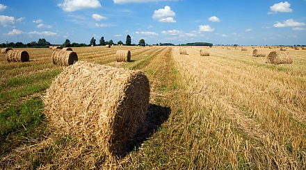 Народные приметы на 10 сентября: что можно и нельзя делать в этот день