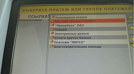 Оплатить госпошлину на въезд и пребывание в белорусской пограничной зоне теперь можно через ЕРИП