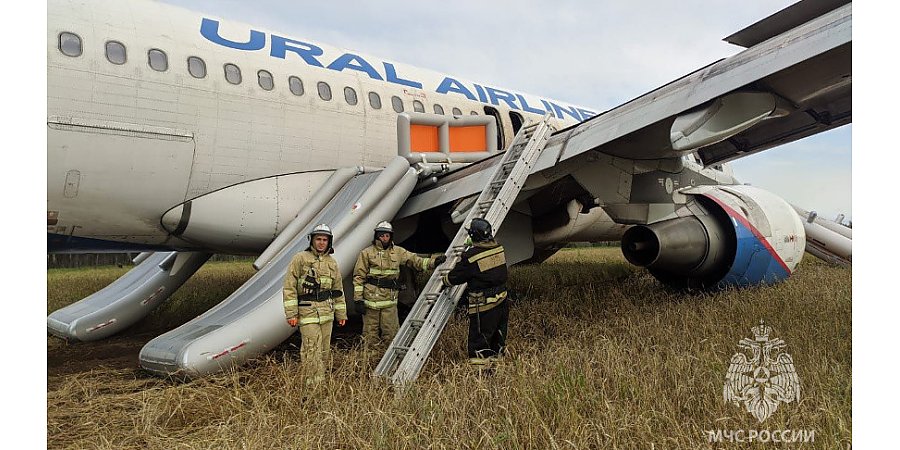 Что известно об экстренной посадке самолета на поле под Новосибирском