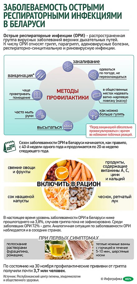 Инфографика: Заболеваемость острыми респираторными инфекциями в Беларуси