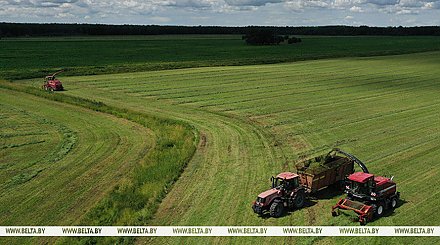 Первый укос трав проведен на 71% запланированных площадей в Беларуси