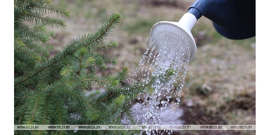 Республиканский субботник пройдет в Беларуси 22 апреля