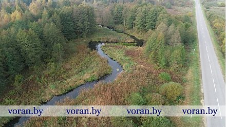 THE ZHIZHMA. From Lithuanian source to Belarussian banks