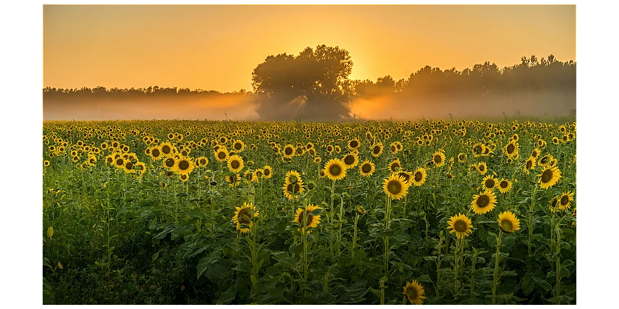 Народные приметы погоды на 19 августа: что можно и нельзя делать, какие суеверия связаны с этим днем