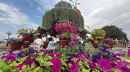 Фонтан из цветов появился в Гродно ко Дню города