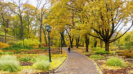 Как избежать осеннего обострения?