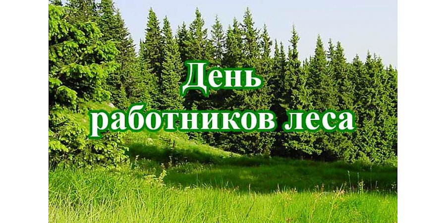 Поздравление Вороновского райисполкома и Вороновского райсовета депутатов с Днем работников леса!