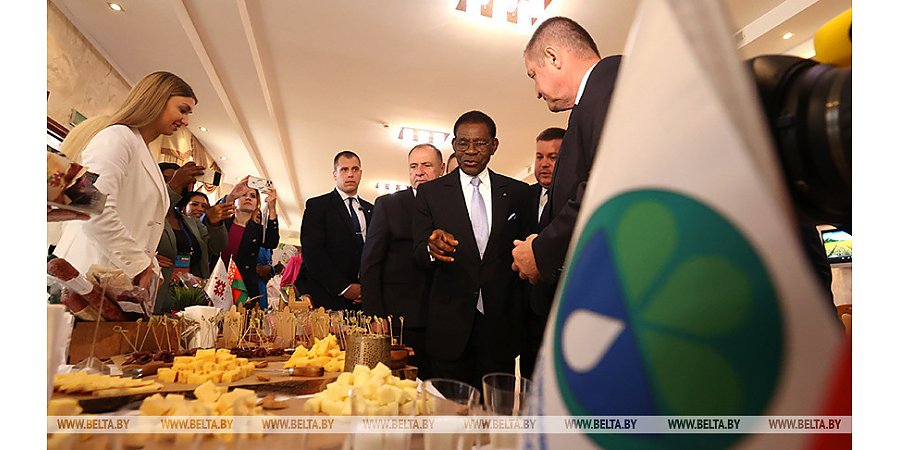 Леонид Заяц: Экваториальной Гвинее интересны наши технологии в сельском хозяйстве, промышленности, медицине