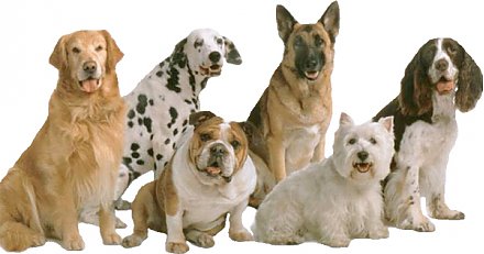 Приглашаем на выставку!