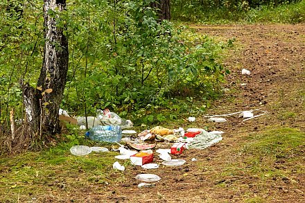 Лидская межрайонная инспекция охраны животного и растительного мира напоминает о поведении на природе при посещении лесов и водоемов