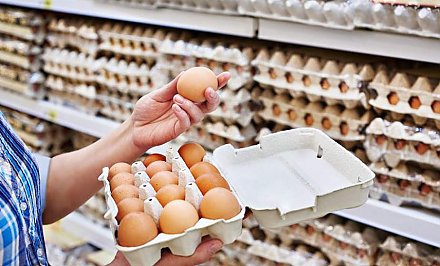 МАРТ запретил продажу в магазинах куриных яиц, на упаковке которых содержится информация «эко яйца»