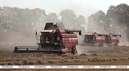 Аграрии Беларуси намолотили свыше 9 млн тонн зерна