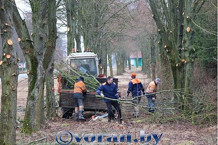 В Вороновском районе приводят в порядок придорожные полосы
