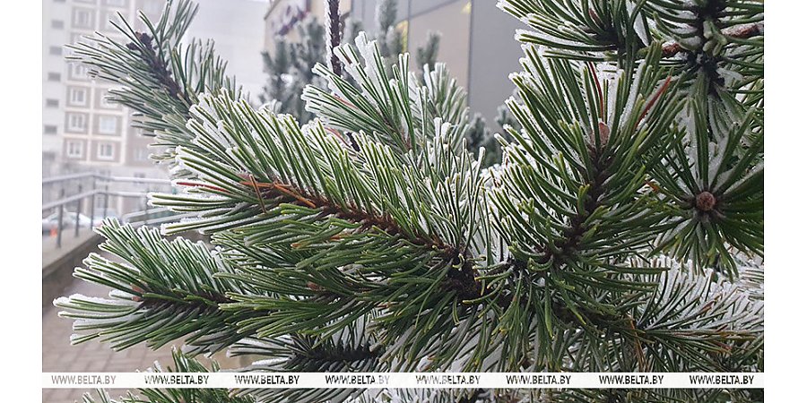 Гололед и до -3°С ожидается в Беларуси 21 декабря