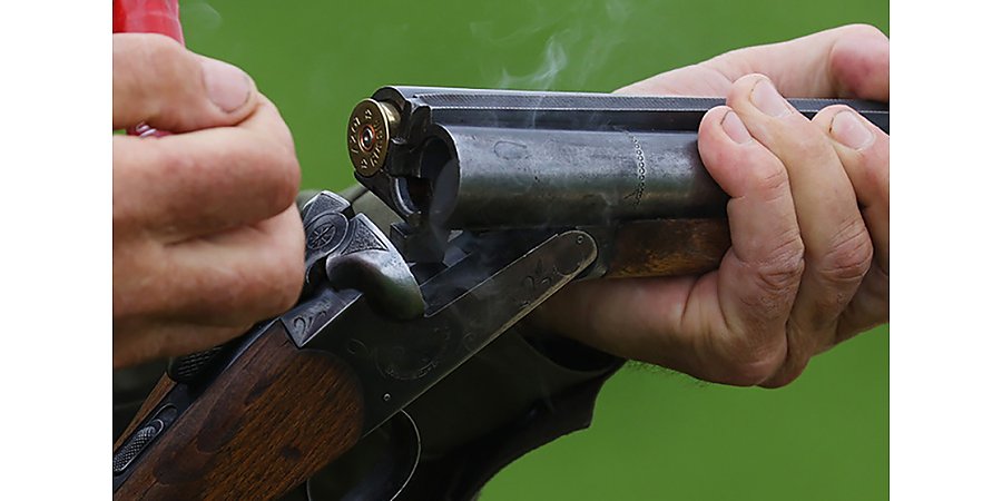 В Беларуси с 1 сентября стартует сезон охоты на бобра и выдру