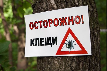 Осторожно! Сезон клещей открыт