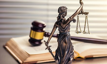 Деревья раздора. История одного обращения