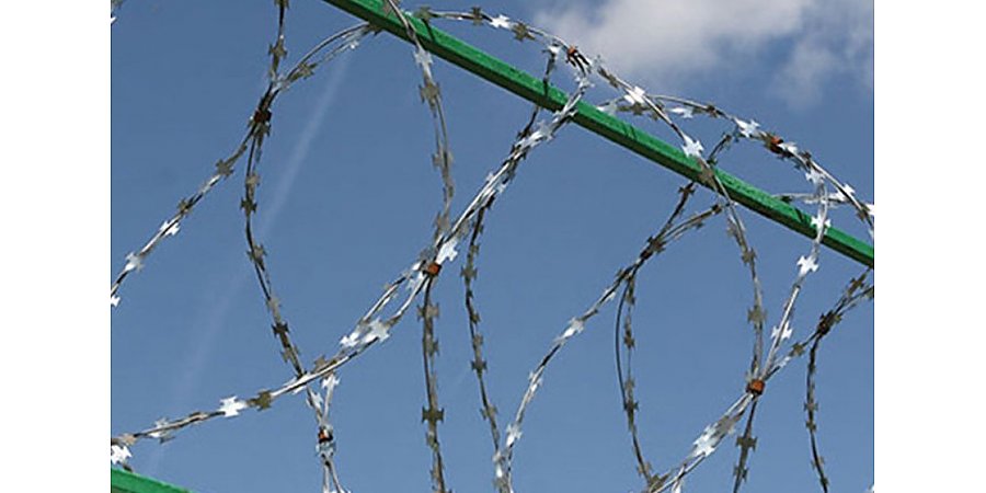 На нейтральной полосе возле польской границы образовался лагерь мигрантов из Афганистана