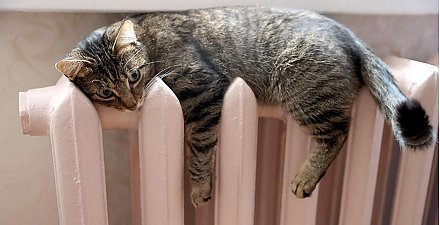 Пока не в жилом фонде. Отопительный сезон подходит к концу