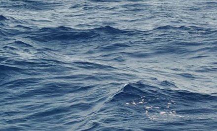 В Гродненской области еще две жизни унесла водная стихия