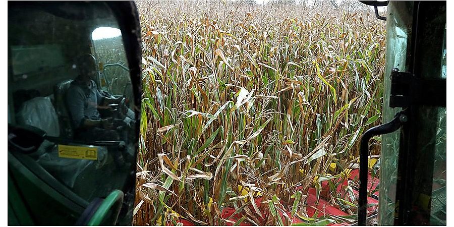 "Работы непочатый край". Александр Лукашенко по прилете в Гомель начал с поручений по сельскому хозяйству