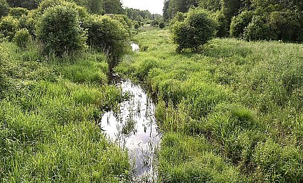 Guide to the corners of nature in the project " Grodno region: a protected world"