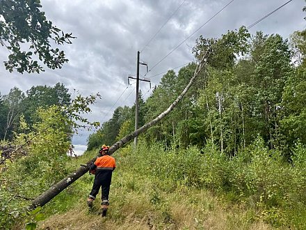 Как Гродненская область пережила циклон «Приска»