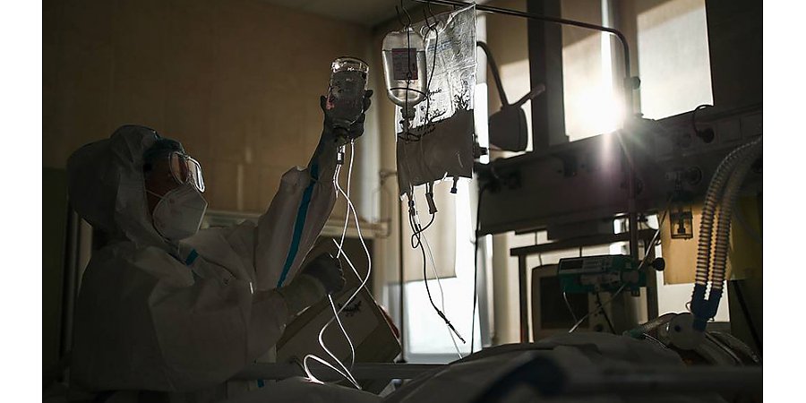 Число заразившихся COVID-19 в мире превысило 85,5 млн