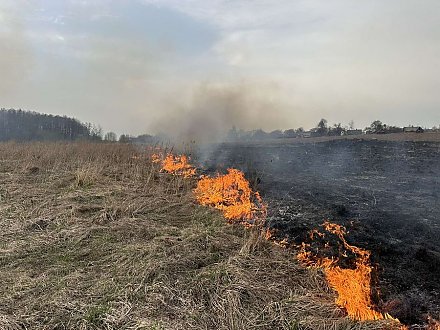 Первое загорание сухой растительности зарегистрировано в Вороновском районе
