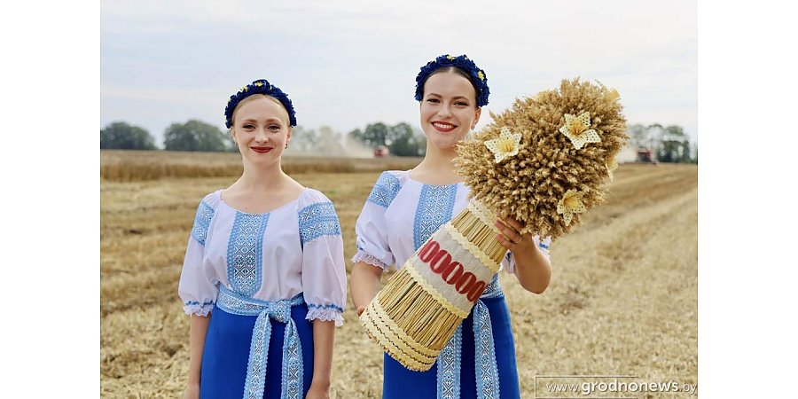 Поздравление Гродненского облисполкома и областного Совета депутатов с Днем работников сельского хозяйства и перерабатывающей промышленности АПК
