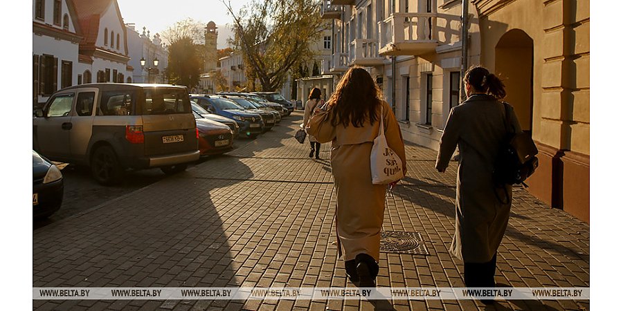 Дерево знаний, помощь приемным родителям. Какие молодежные инициативы получают гранты на развитие
