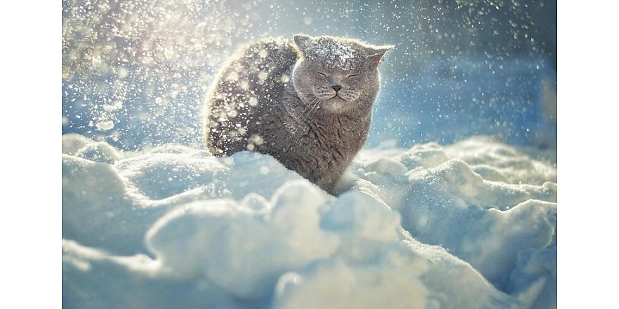 Белорусов ждут рекордные морозы? Синоптик рассказал о погоде зимой в Беларуси