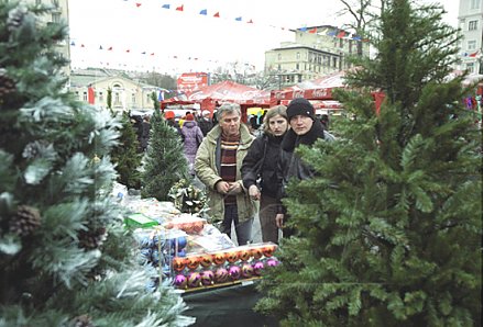 Сколько стоит новогодняя красавица?