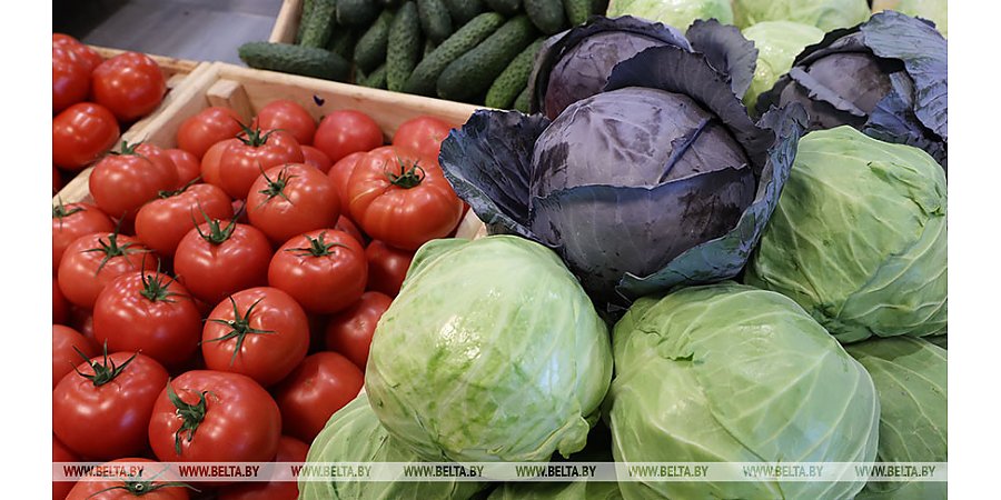 В Литве на год продлили запрет на импорт сельскохозяйственных товаров из Беларуси
