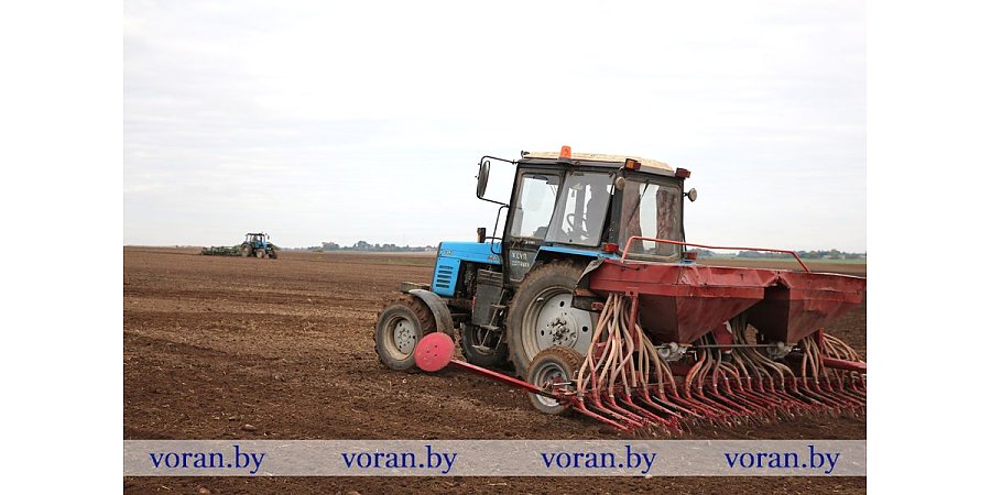 Вороновский район — в лидерах по севу озимых культур среди сельхозпредприятий Гродненщины