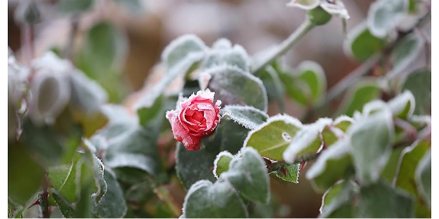 Зима идет в Беларусь. Синоптики рассказали о погоде на 13-15 ноября