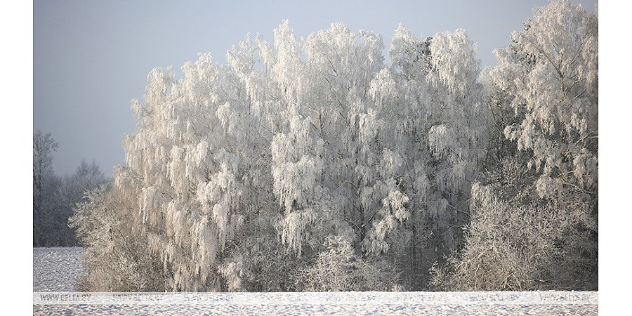 Оранжевый уровень опасности объявлен в Беларуси на 12 декабря