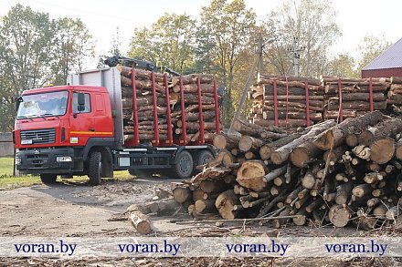 Время думать о зиме