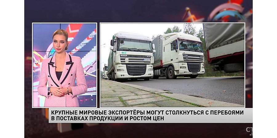 Чем грозит бизнесу транспортный коллапс на польско-белорусской границе? (+видео)