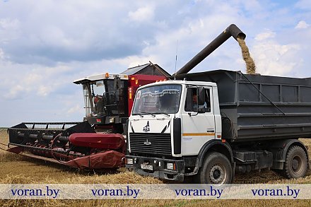 Горячая страда на «элитных» полях