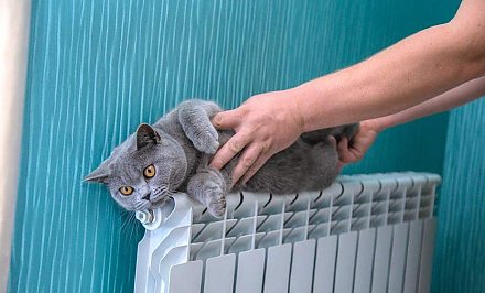 Белорусы больше не будут мерзнуть осенью? Изменился порядок проведения отопительного сезона