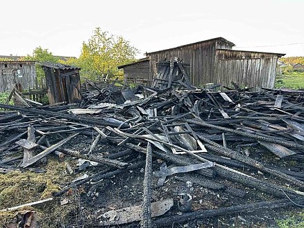 В Вороновском районе сгорела хозпостройка