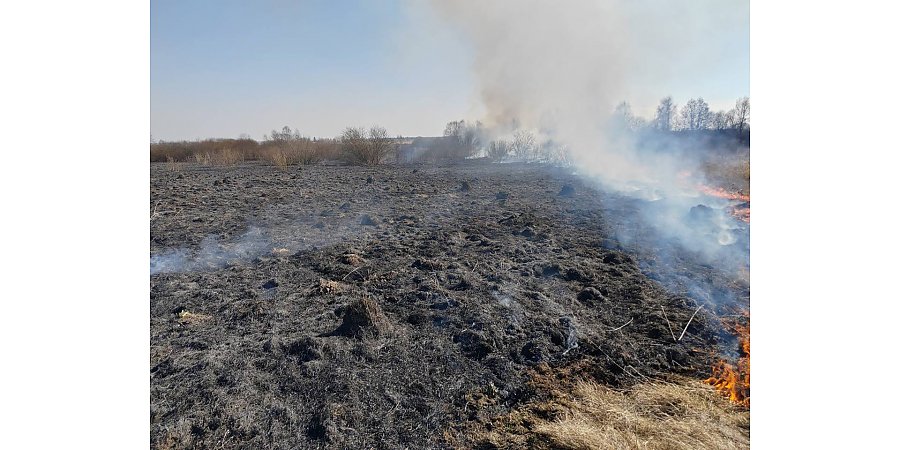 В Вороновском районе горела сухая растительность 