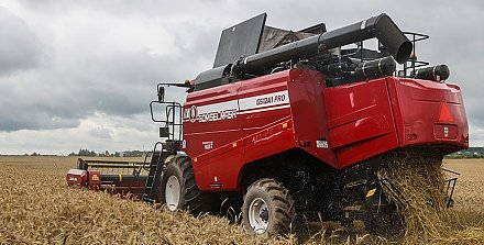 6,67 млн т зерна с учетом рапса намолотили в Беларуси
