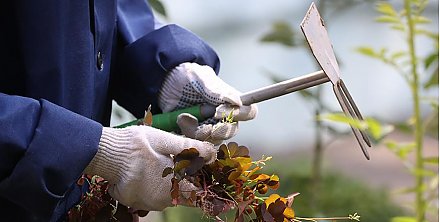 Служба занятости за июнь-июль трудоустроила 26,8 тыс. учащихся и студентов