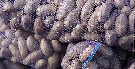 МАРТ: запасы в стабфондах Беларуси превышают план